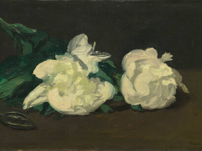 Édouard Manet, Ramo di peonie bianche e cesoie, 1864. Olio su tela, 30,5 x 46,5 cm
Parigi, Musée d’Orsay © René-Gabriel Ojéda / RMN-Réunion des Musées Nationaux/ distr. Alinari