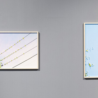 Yoshinori Mizutani. Courtesy of Christophe Guye Galerie