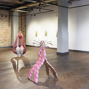 Zsófia Keresztes, The chamoile protocol, exhibition view. Courtesy of König Telegraphenamt 