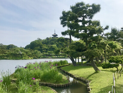Yokohama. Sankeien Garden © Alma Reyes