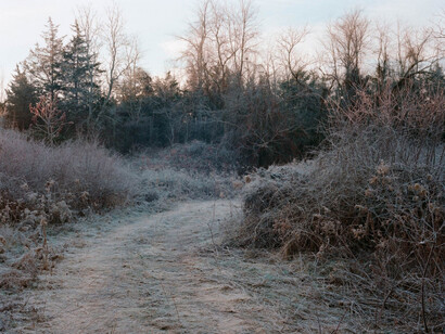Tema Stauffer. Courtesy of Tracey Morgan Gallery