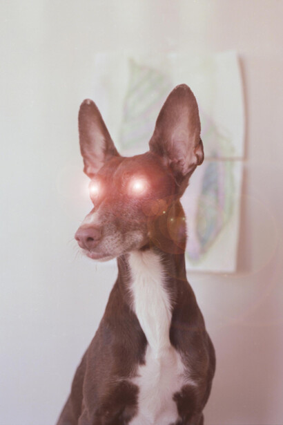 Violet sea. Courtesy of The Finnish Museum of Photography