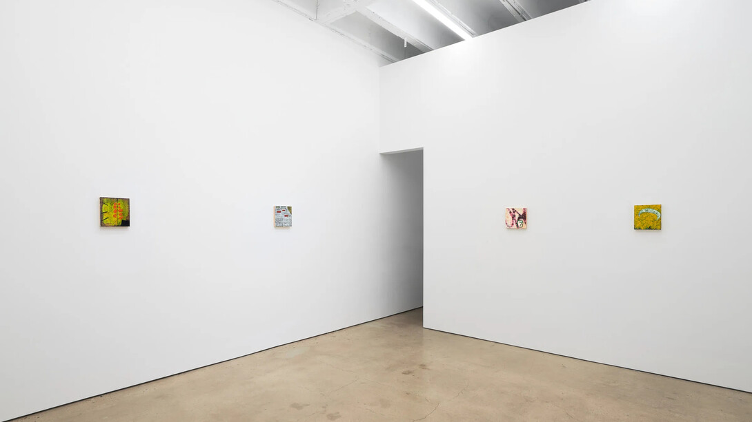 Salim Green, Paintings, exhibition view. Courtesy of François Ghebaly Gallery