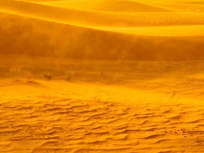 El desierto crece