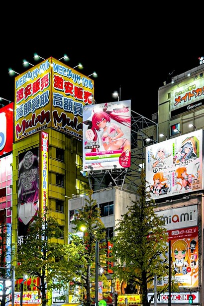 Durante as últimas décadas do século 20 e as primeiras do novo milênio, os famosos quadrinhos japoneses se tornaram um verdadeiro fenômeno cultural no Ocidente, especialmente na América Latina