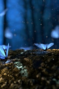 Illustrazione di un paesaggio magico-onirico con farfalle