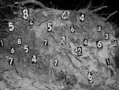 Nico Krijno. Courtesy of The Ravestijn Gallery