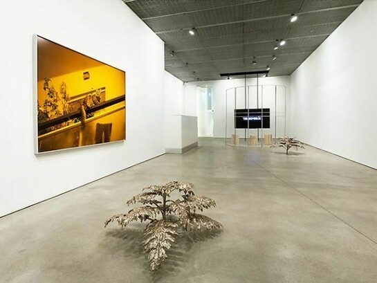 David Hartt, Installation Views
