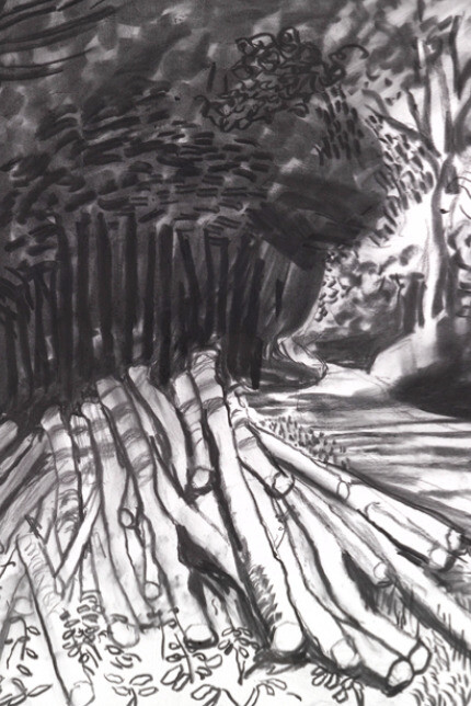 David Hockney. Courtesy of Paul Kasmin Gallery