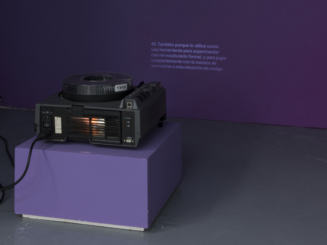 Iván Argote, Setting Up a System, 2015, ©Roberto Ruiz