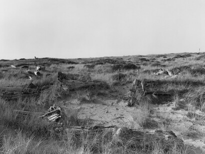 Robert Adams, Nehalem Spit, Oregon, 2013. © Robert Adams, courtesy Fraenkel Gallery, San Francisco