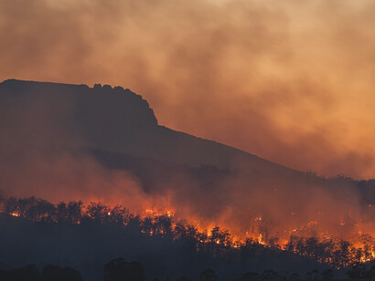 'Civilization is degrading, if not destroying, life on Earth'