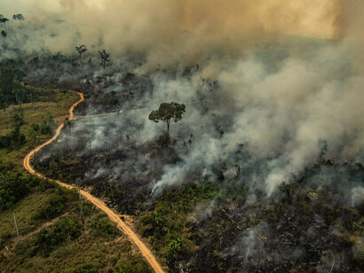 El no alineamiento activo debe definir las dimensiones de la globalización que son bienes públicos globales y deben ser materia de disciplinas internacionales