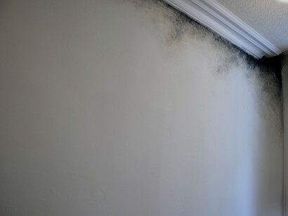 contamination (site specific intervention)