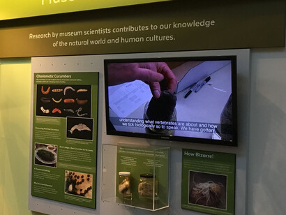 Exploring Our World. Courtesy of Florida Museum of Natural History