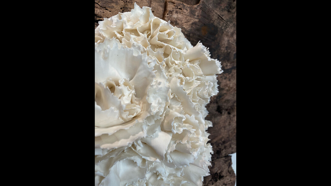 Anna Simson, Bloom, 2023, porcelain. Courtesy of the artist and Jenn Singer Gallery