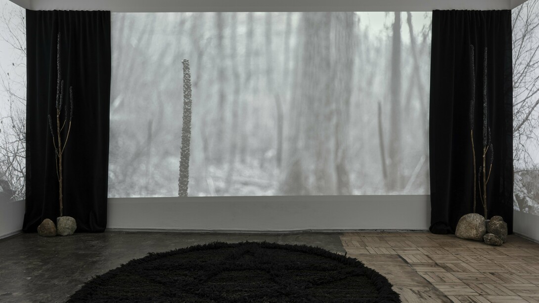 Exhibition view, Allison Halter, Threshold, 2024, A.I.R. Gallery, Brooklyn, NY.  Photography by Matthew Sherman. 
