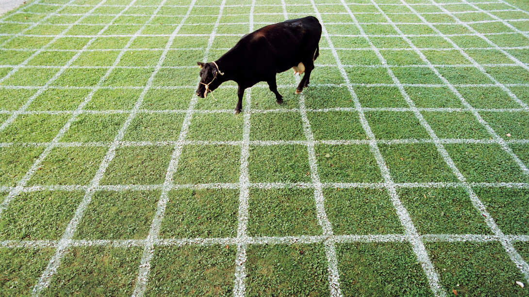 Andri Pol, Kuhlotto, Bad Zurzach (détail), Suisse, 1998. Avec l'aimable autorisation de la Fotostiftung Schweiz
