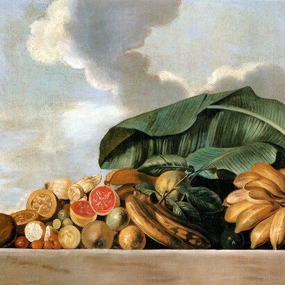 Albert Eckhout. Bananas, goiaba e outras frutas
