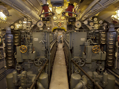 Elusive. Deadly.Captured. Courtesy of Museum of Science and Industry