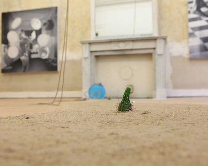 Thorsten Kirchhoff. Courtesy of Montoro12 Contemporary Art