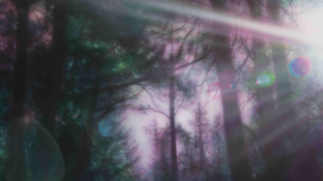 Samantha Fields, Uncanny alignment, 2024. Courtesy of Traywick Contemporary