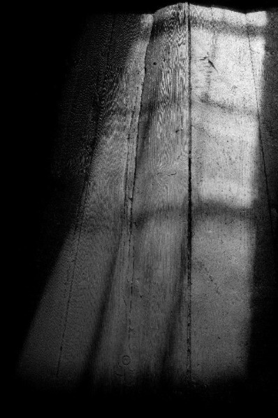 Steven Gilbert. Courtesy of Soho Photo Gallery