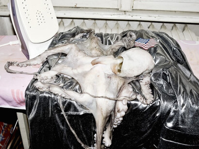 Dido Fontana, Untitled, 2013, C-print, 150 x 100 cm, ed. 12