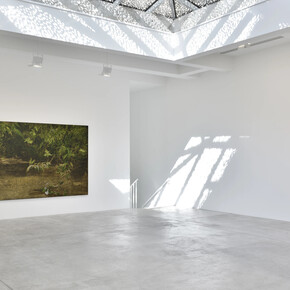 Daniel Boyd, Dream time, exhibition view. Courtesy of Galerie Marian Goodman