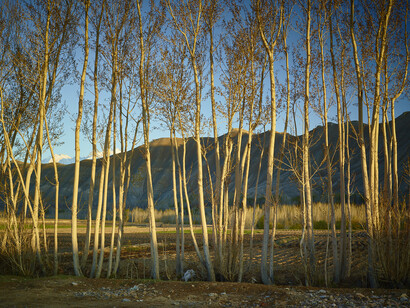 © Simon Norfolk, Time Taken 6, Late Spring, 2013-2014