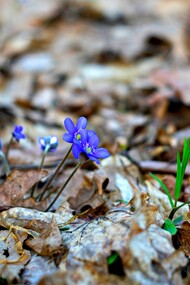 Ogni viaggio autentico continua a intrecciare passato e futuro, ricordandoci che ogni arrivo è soltanto l'inizio di un nuovo cammino