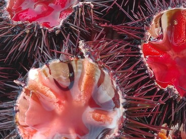 Può essere utilizzato anche per preparare crostini, tartare di pesce o raffinati antipasti di mare, dove il suo gusto diventa il protagonista