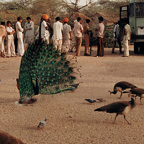 Modernism on the Ganges. Courtesy of The MET 