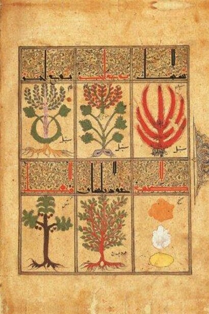 Pagine della versione facsimile del Kitâb al-Diryâq