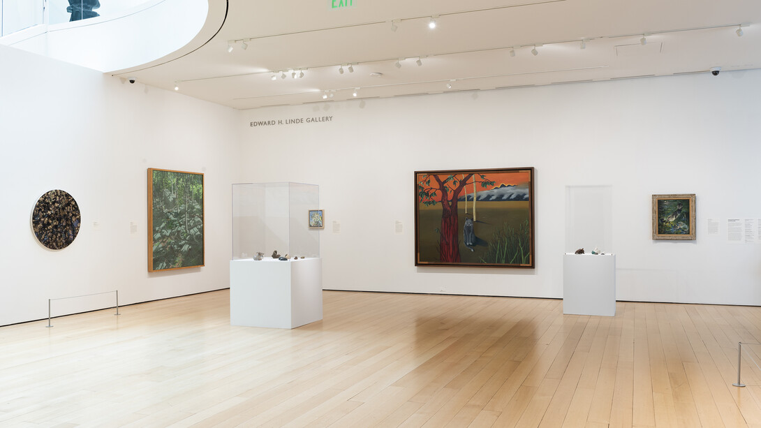 Szu Chieh-Yun, Into the forest, exhibition view. Courtesy of Museum of Fine Arts Boston