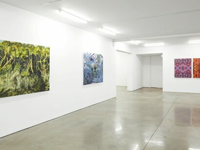 Bradley Castellanos, Exhibition view. Courtesy of Ryan Lee