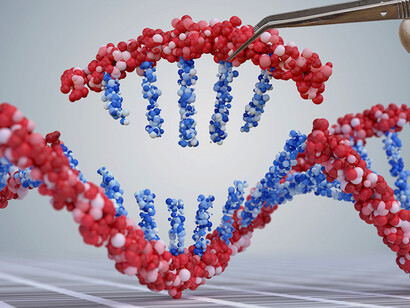 As técnicas CRISPR podem ser usadas para produzir variantes de plantas mais adaptadas ao meio ambiente
