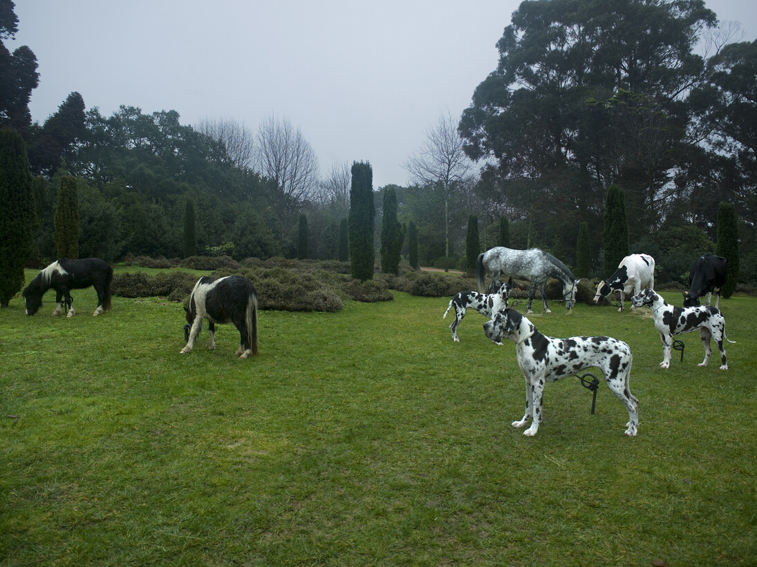 Bethan Huws, Black and white animals, 2009, Colour inkjet print on Hahnemühle paper, 100 x 106 cm, Courtesy of the artist, Copyrights Bethan Huws & A.D.A.G.P. Paris, 2015, Photograph : Filipe Braga