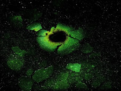 Steven Hirsch, Astraios, 2014. ©Steven Hirsch