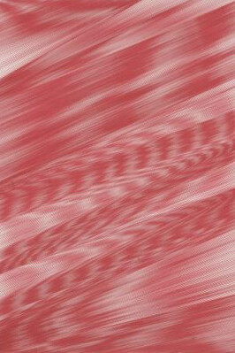 Caroline Kryzecki. Courtesy of ACE Gallery 