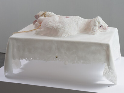 Tom LaDuke, Pansy, 2014, salt, flower pedals, 15 x 29 x 20 inches