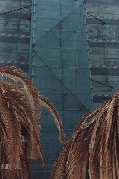 Samuel Laurence Cunnane, Palm Trees, 2014, Hand-printed C-type print on archival photo paper, framed, 15 x 10 cm / 6 x 4 in, Image courtesy Kerlin Gallery