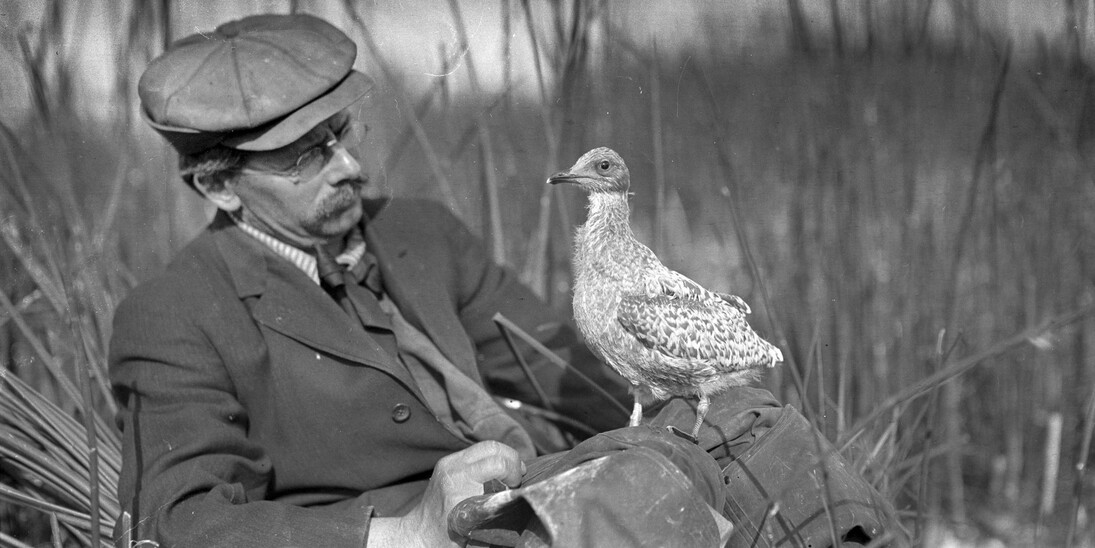 Catching Birds with a Camera. Courtesy of Oregon Historical Society