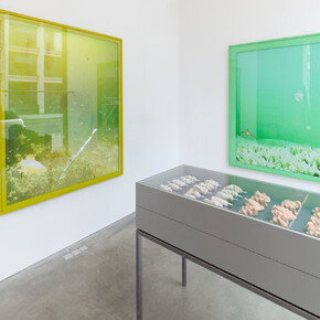 Michael Müller, Exhibition view. Courtesy of Galerie Thomas Schulte