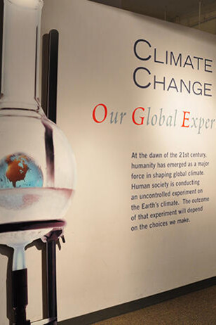 Climate Change. Courtesy of Harvard Museum of Natural History 