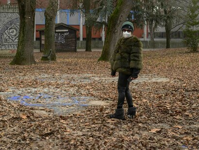 Mimmo Paladino, L'Albero della Vita