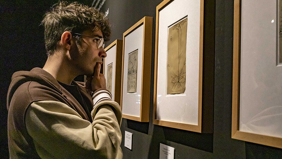 Brain(s), exhibition view. Courtesy of Casa de la Ciencia