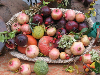 Alla ricerca di specialità regionali 
