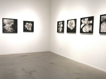 Joseph Stashkevetch. Courtesy of Von Lintel Gallery