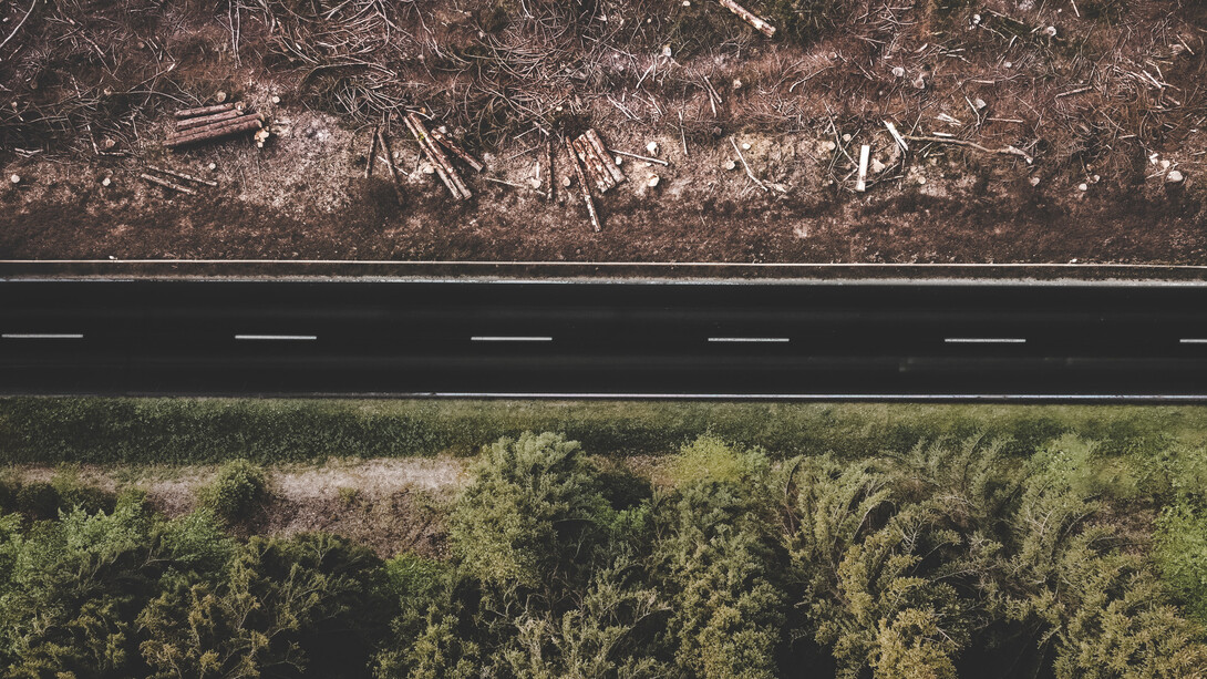 I governi illudono i contadini che la deforestazione venga fatta per il loro bene